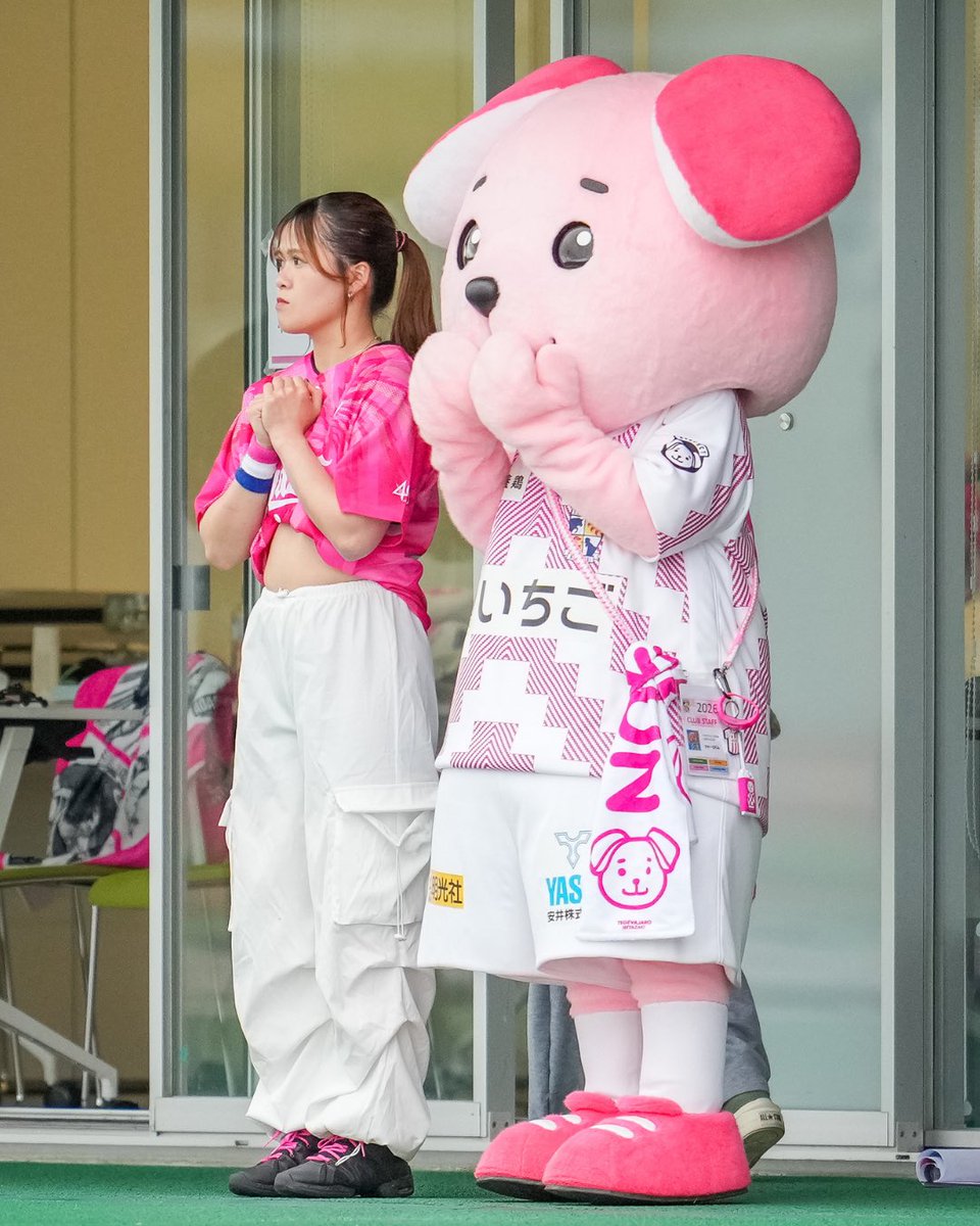 ジャーロくん（こうしき） tweet media