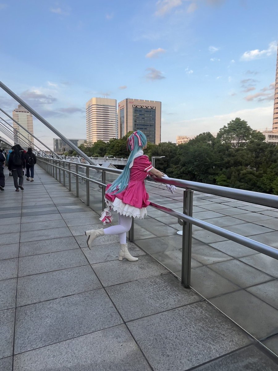 カルっこʕ•ᴥ•ʔ@4/25 ニコ超 tweet media