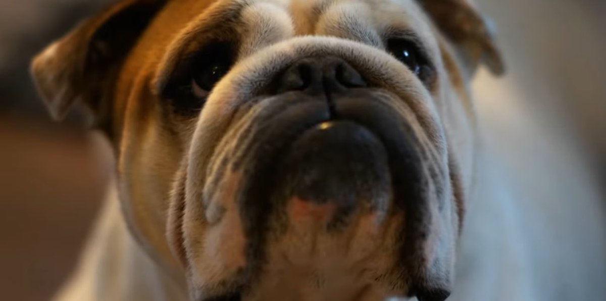 【誇大広告】
人はオーディブルを始めると

『濃厚汗だくえっち』が出来るらしい