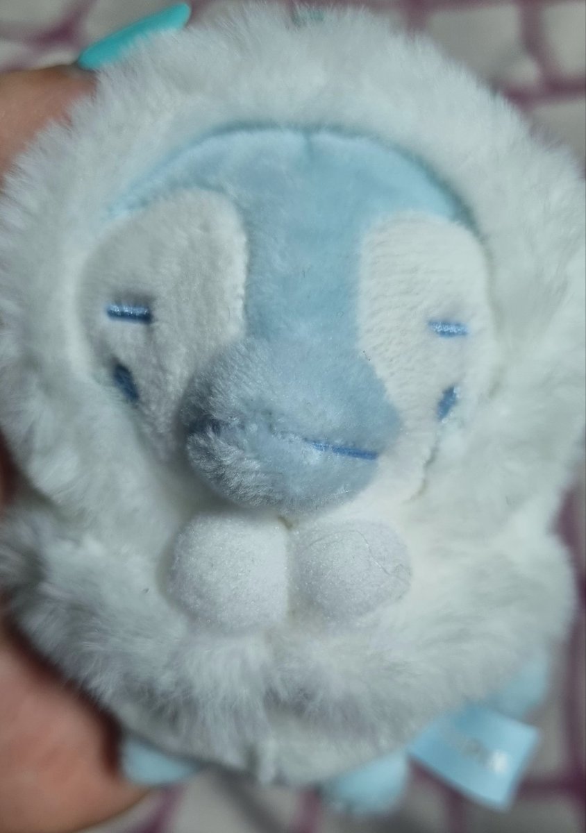 샤갈!!!  너모 귀여워!!!
근데 일본 애들도 있었으면 좋았을건뎅....
아쉽다.. 그치만 그래도 요아이들로 만족하기🤭