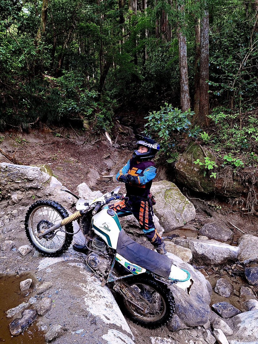 いもちゃん tweet media