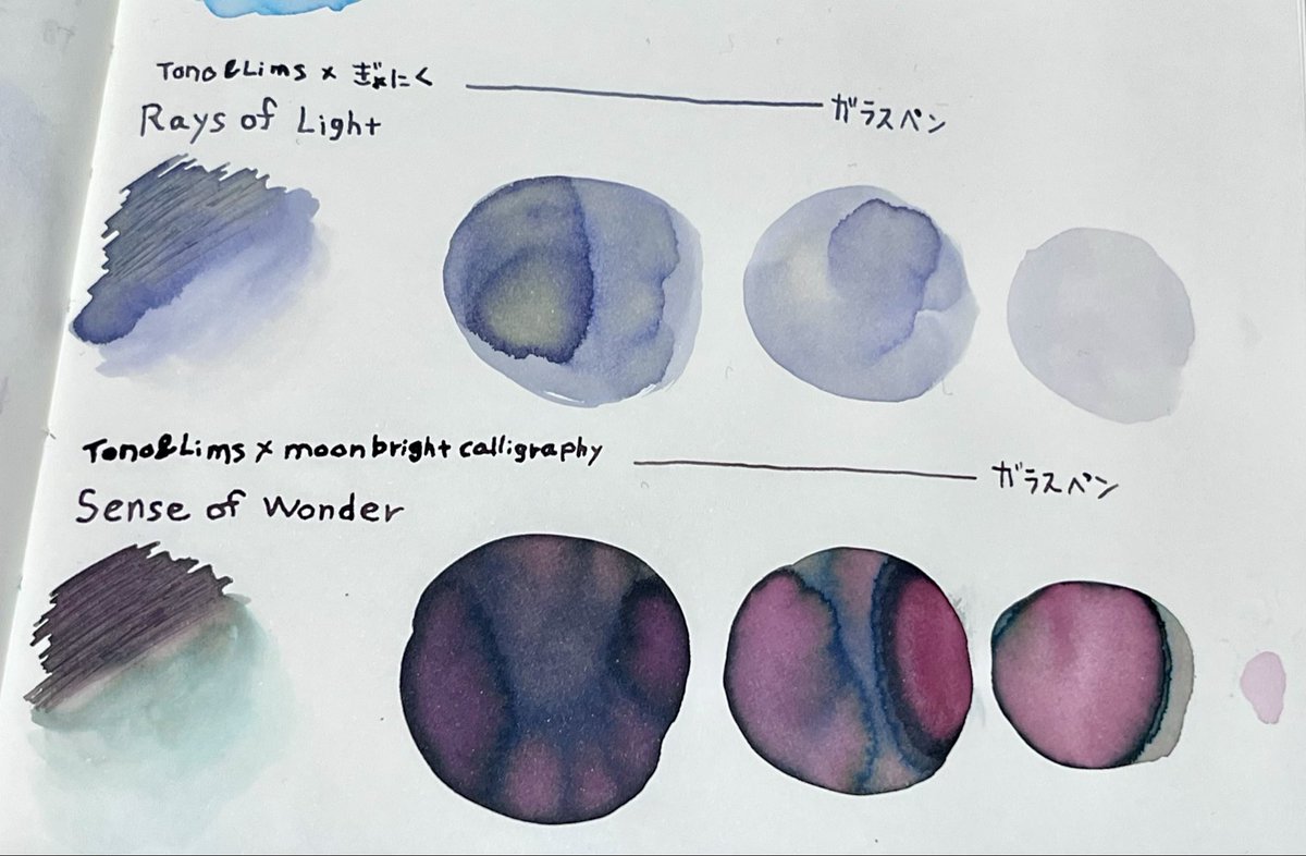 サイCo tweet media