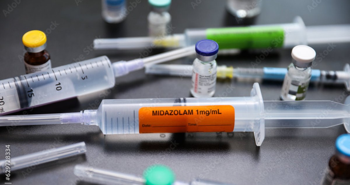 Kate Shemirani tweet media