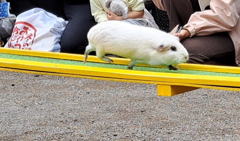 マグロ🌱 tweet media