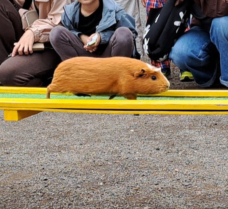 マグロ🌱 tweet media