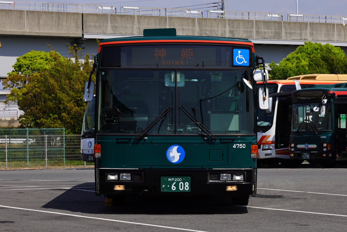 えすとく tweet media