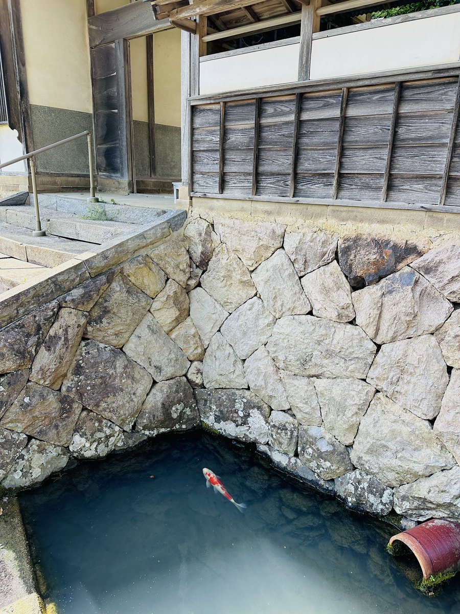 新しい人 tweet media