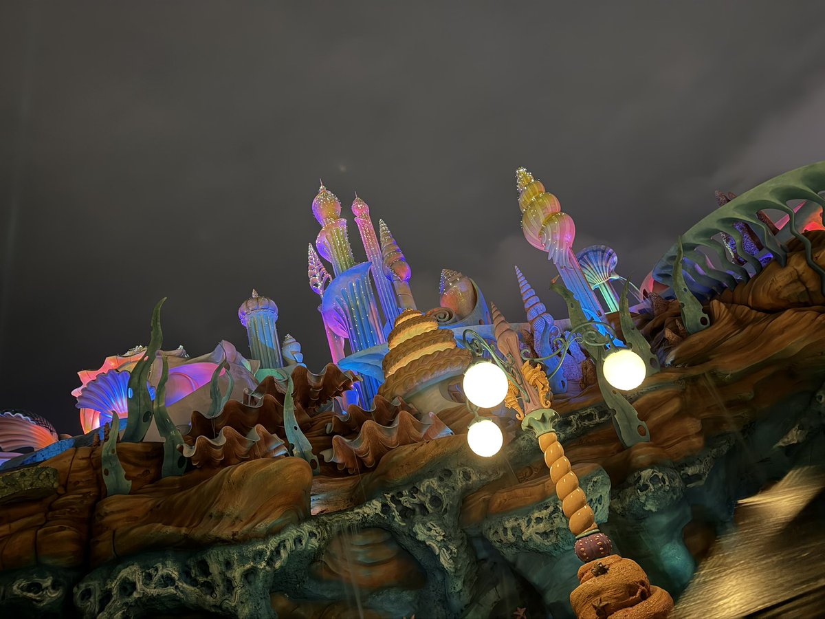 えりまめ tweet media