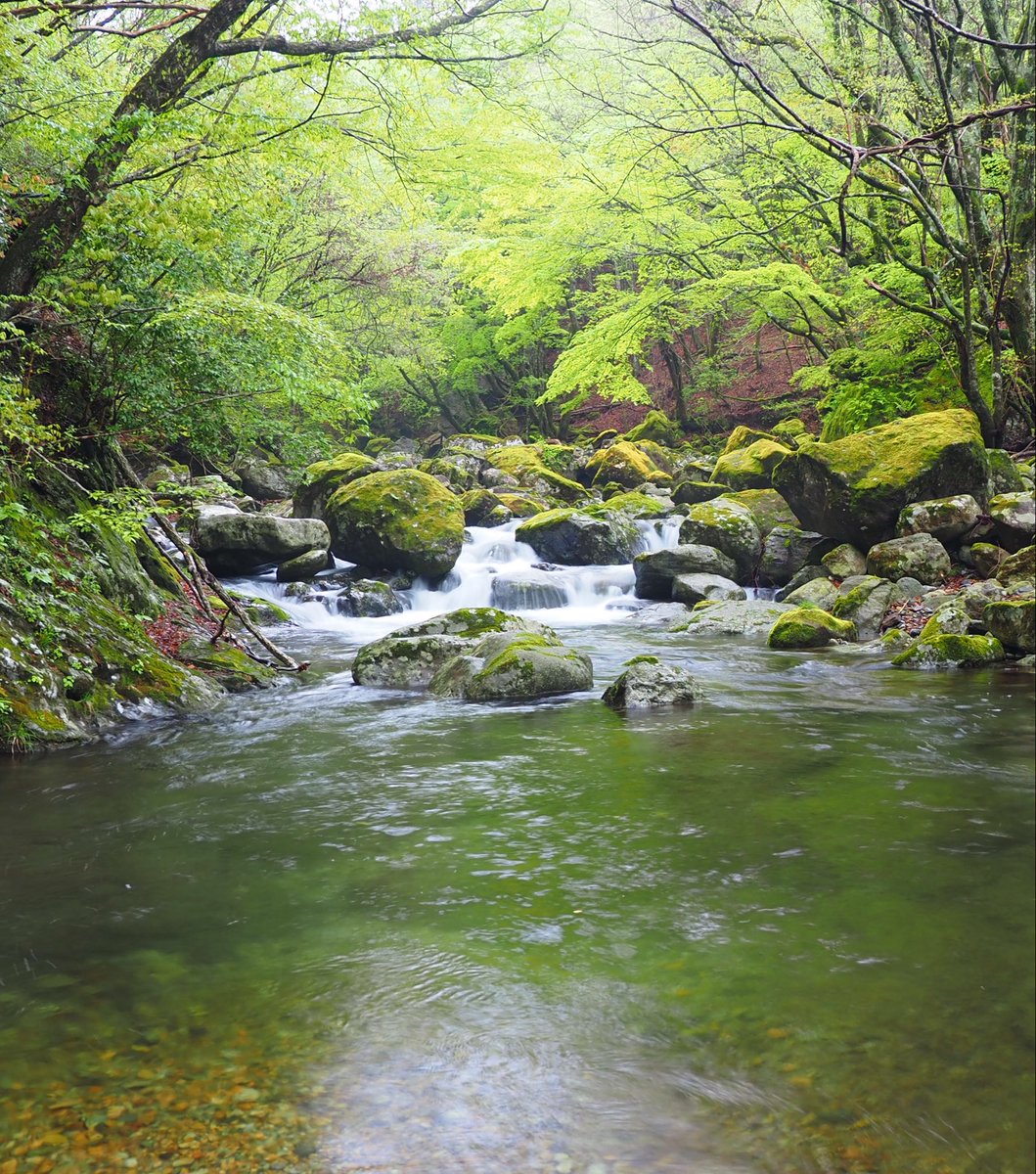 JrzIf's tweet photo. 本日のイワナ！ https://t.co/8JKf4BsRqA