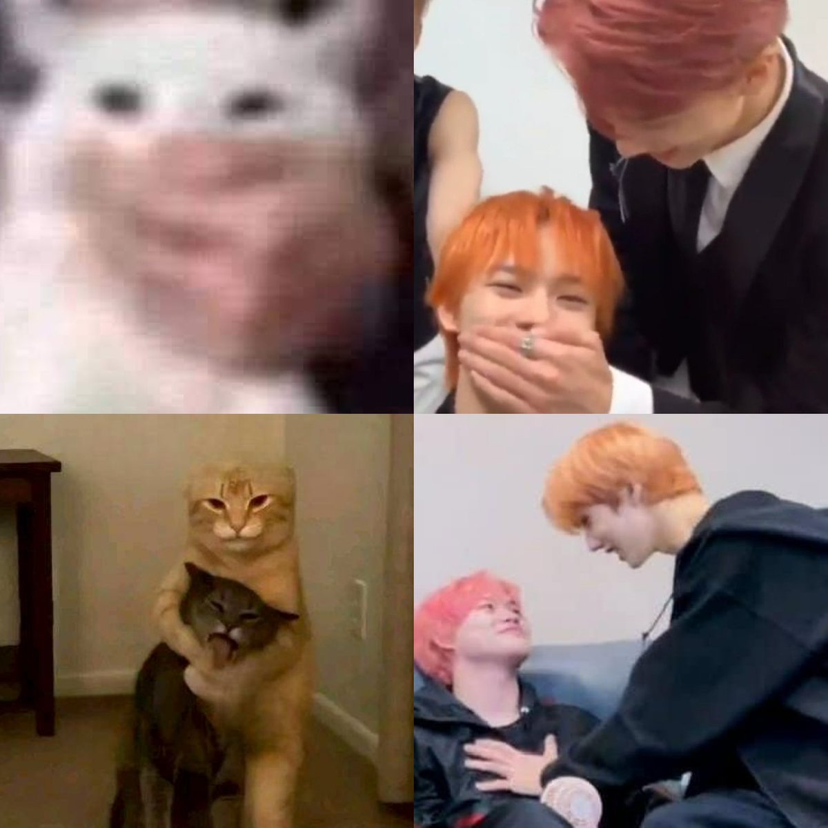 ◟( ･o˙ )◞ tweet media