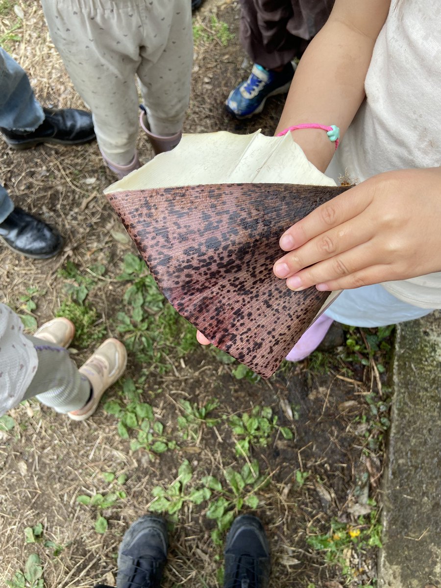 きびと月の畑 tweet media