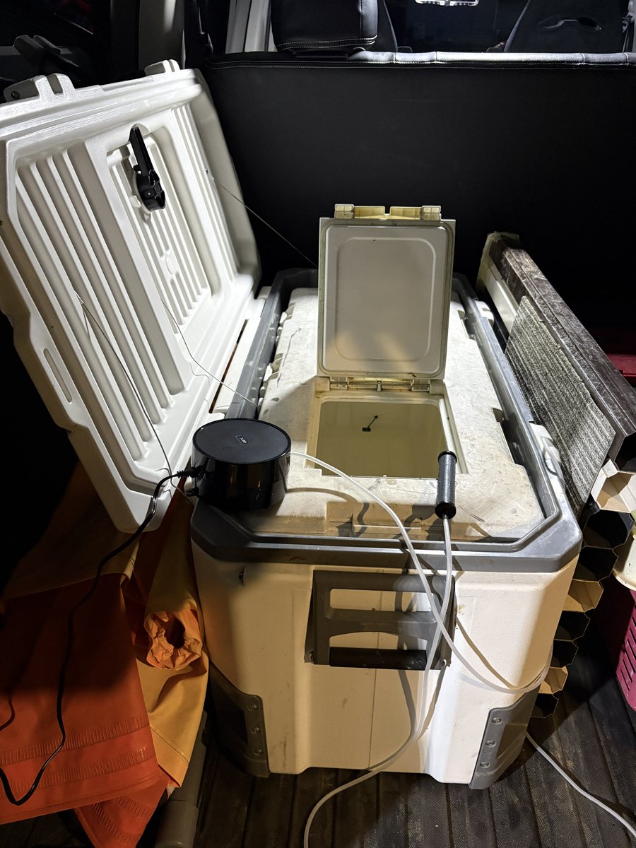 鶏ガラ tweet media