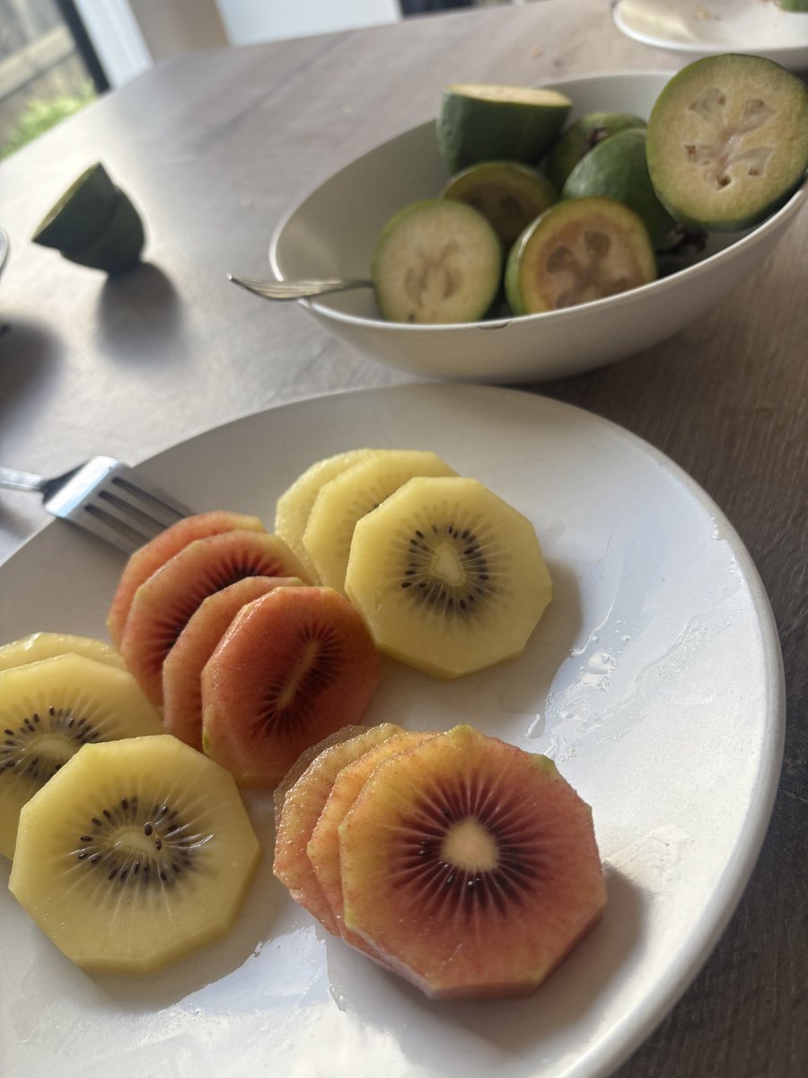 Masa@Auckland tweet media