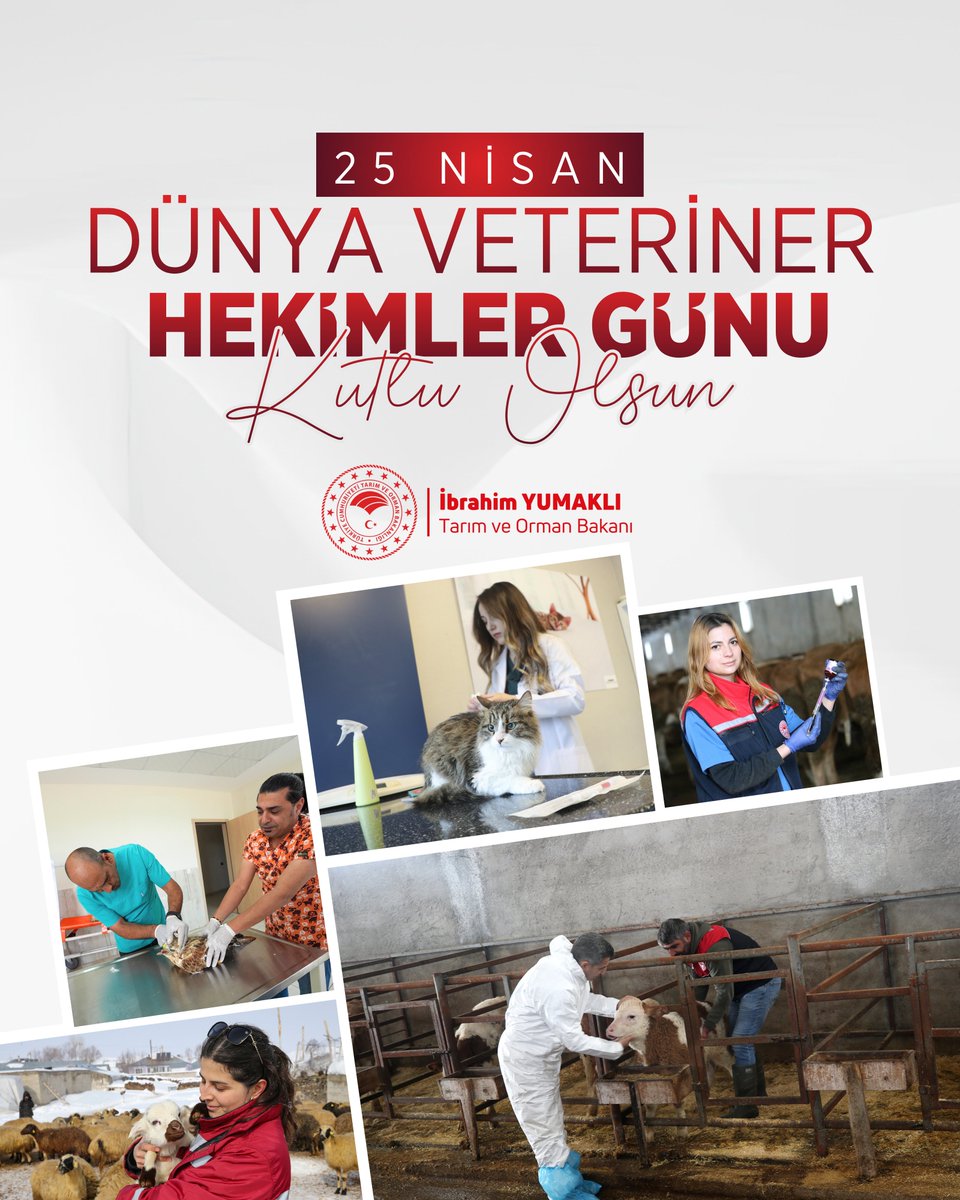 İbrahim Yumaklı tweet media