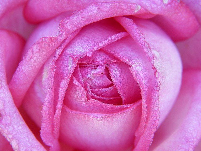 Eric Calhoun tweet media