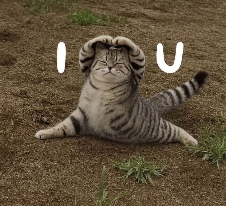 Interacto tweet media