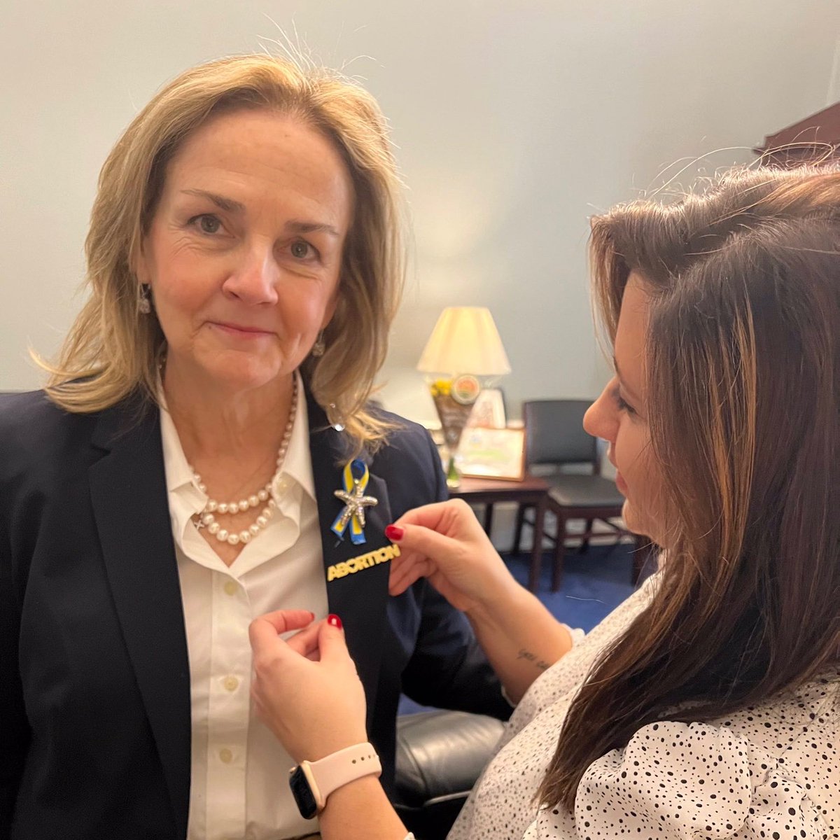 "Nobody ever wore I ❤️ abortion pins."

what are these pins supposed to mean?