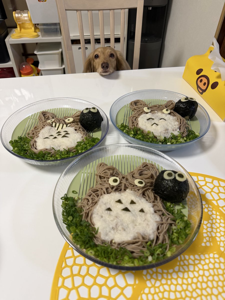 ほんわか姉妹(主) tweet media