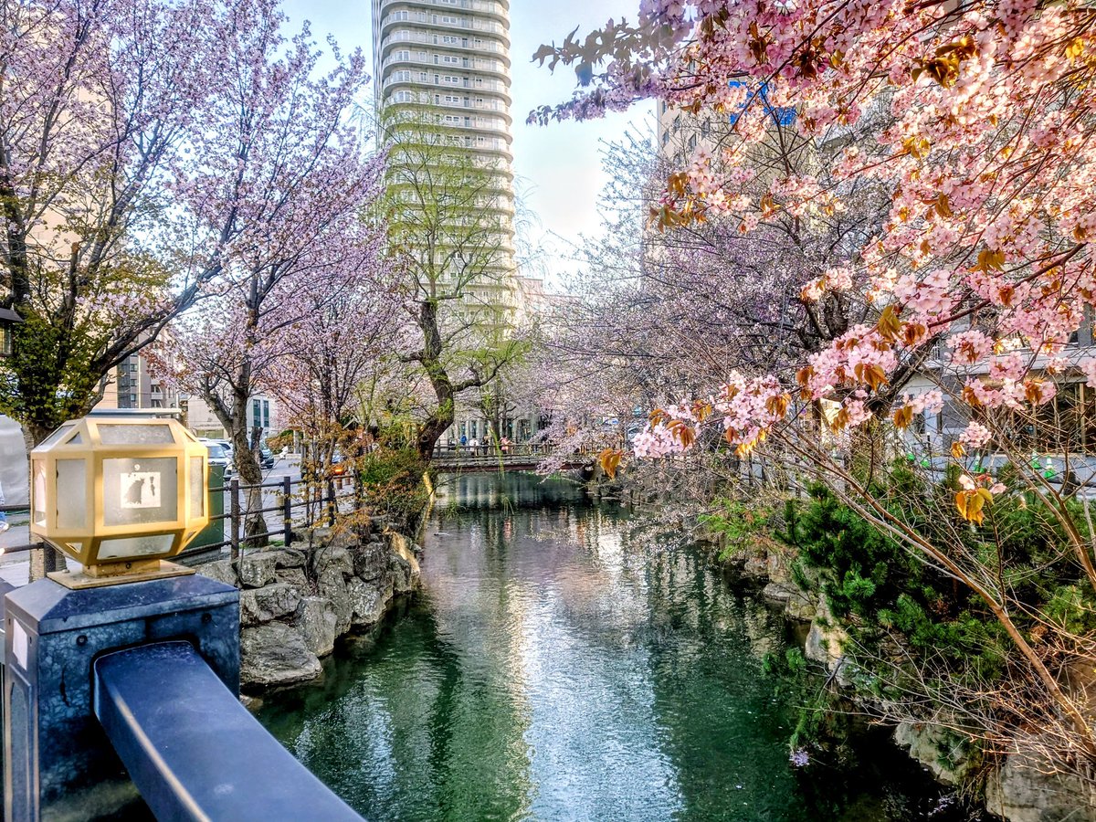 noob_tanks🍙スキーもする tweet media