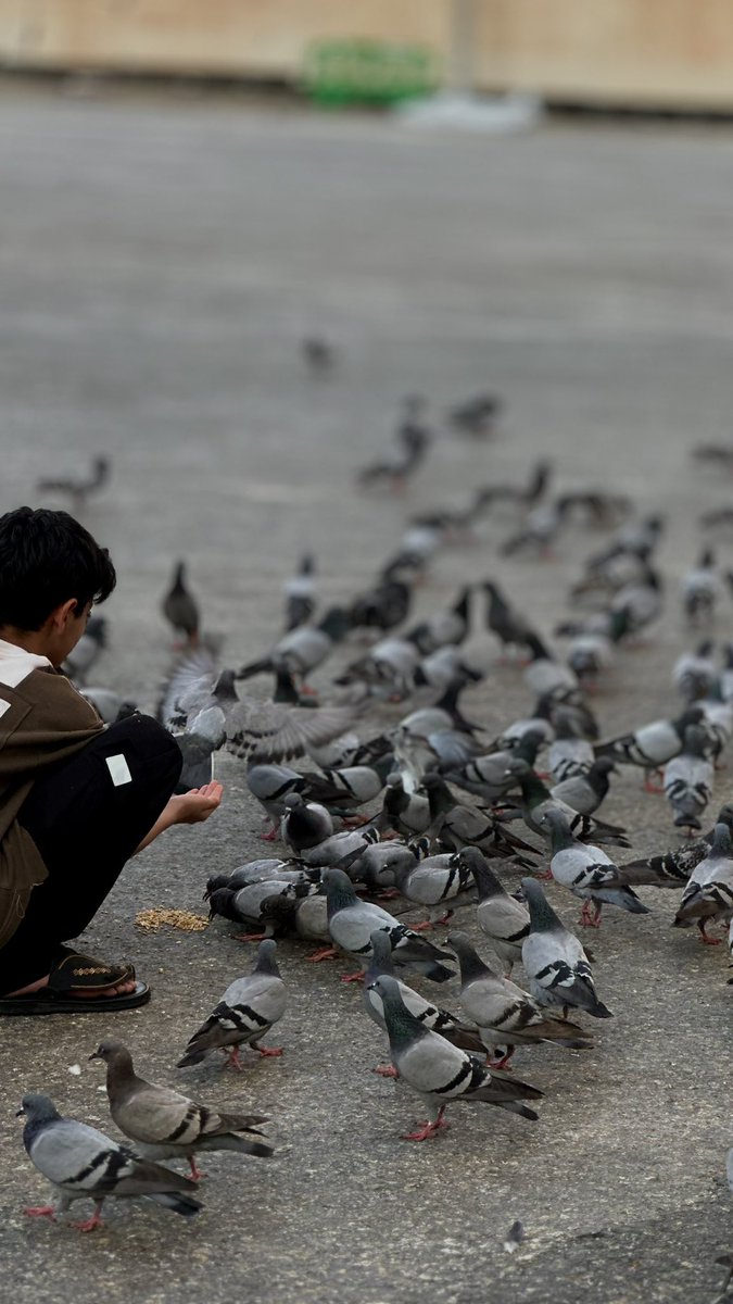 NO NAME☔️ tweet media