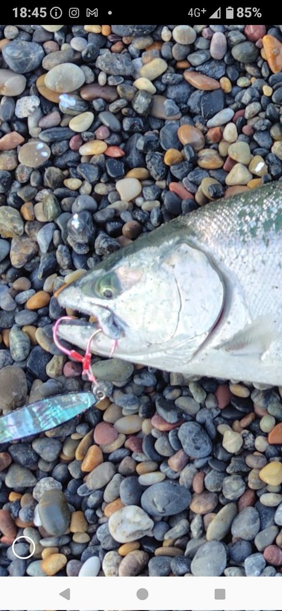 fujitaka tweet media