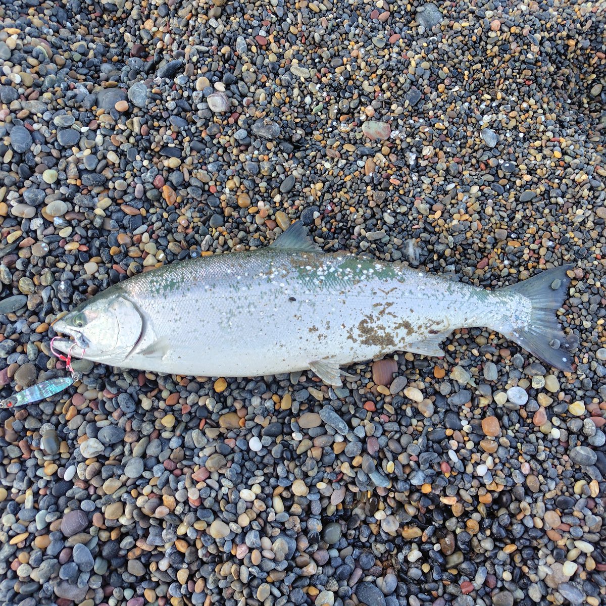 fujitaka tweet media