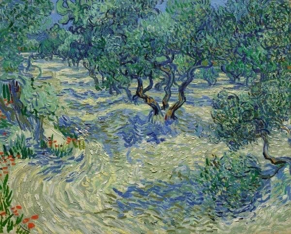 Francisco Ribeiro tweet media