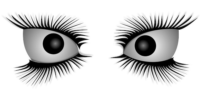 Ian Donaldson tweet media