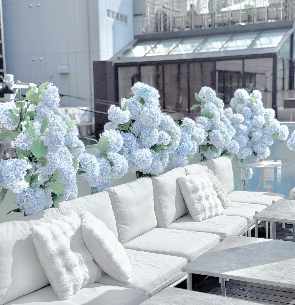 🎀🧸Ginger Garden AOYAMA ジンジャーガーデン tweet media