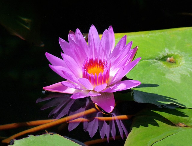 Connon Smith tweet media