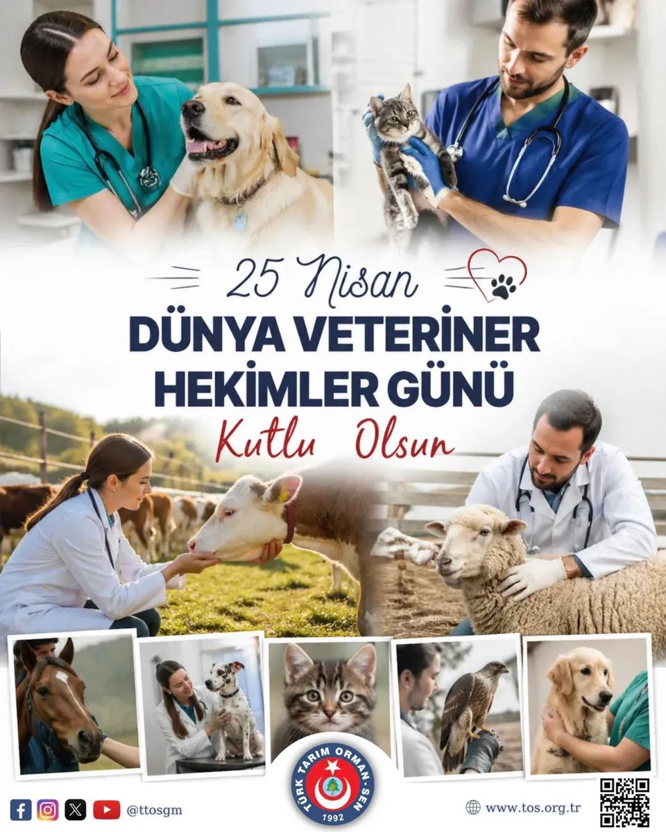 Hasan Nuri AKÇA tweet media
