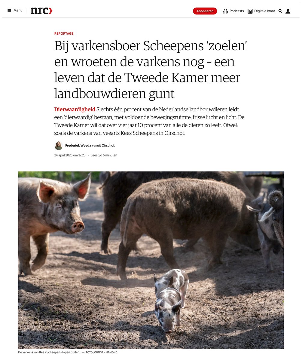 dierencoalitie's tweet photo. Terwijl de Tweede Kamer in Den Haag met @stasLVVN debatteerde over de dierwaardige veehouderij, ging @nrc bij @KeesScheep op bezoek in Oirschot. Van politieke wens naar werkelijkheid: zo ziet een dierwaardige veehouderij er uit! 🤩 https://t.co/v714pKsyty https://t.co/0C5BHRkYoq