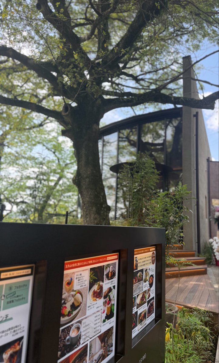 wombat_yu tweet media