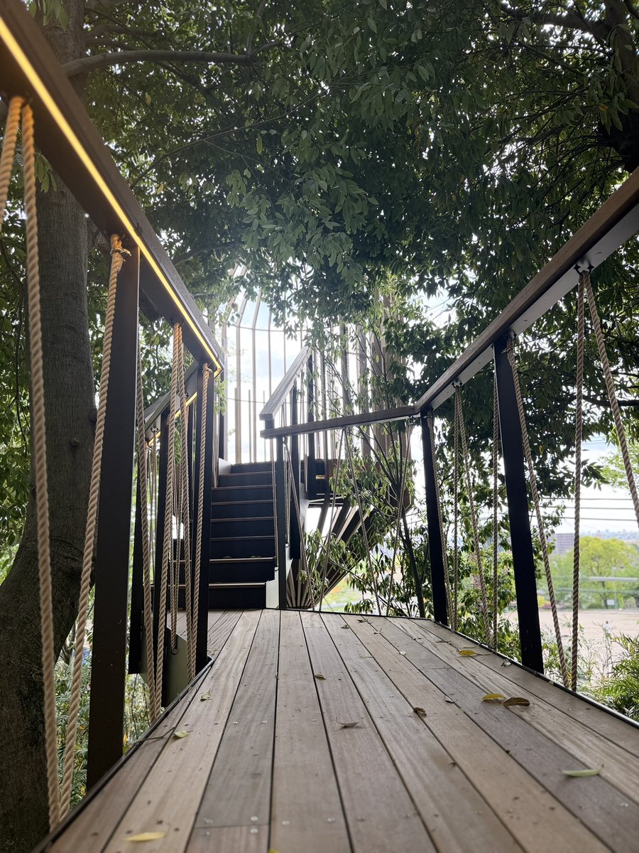 wombat_yu tweet media