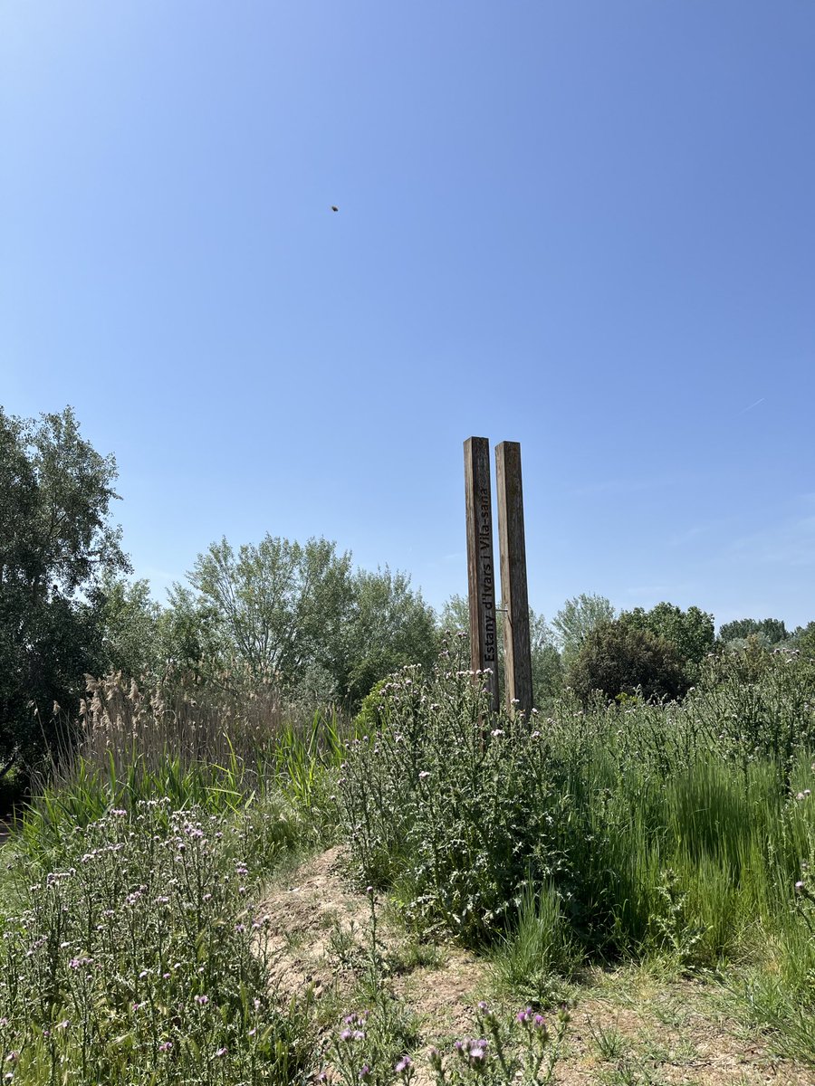 Ponentins tweet media