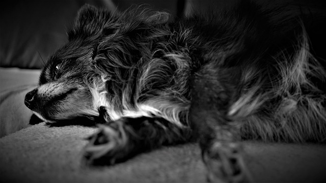 Derrick Gill tweet media