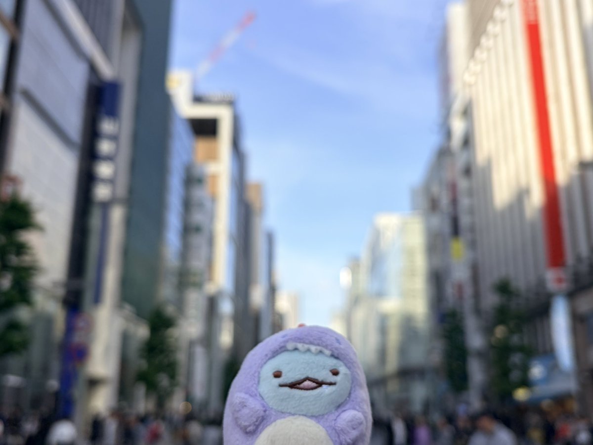 らふぃ tweet media