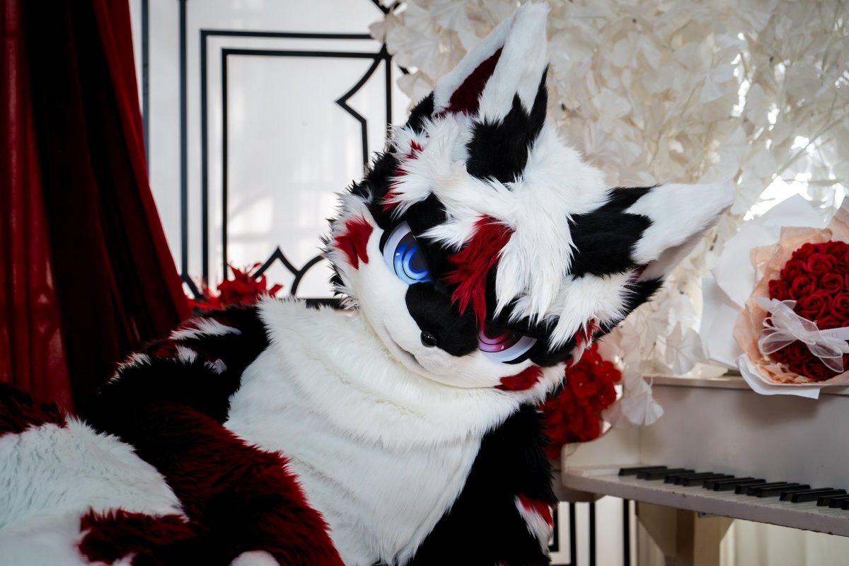 ALKAID_FUR's tweet photo. 【✨ALKAID·特景展示】pat.1
天真浪漫活泼可爱小狐狼🦊

委托人：焰芒
📷：朔光

#furry #fursuit https://t.co/LrEVdFLQUX