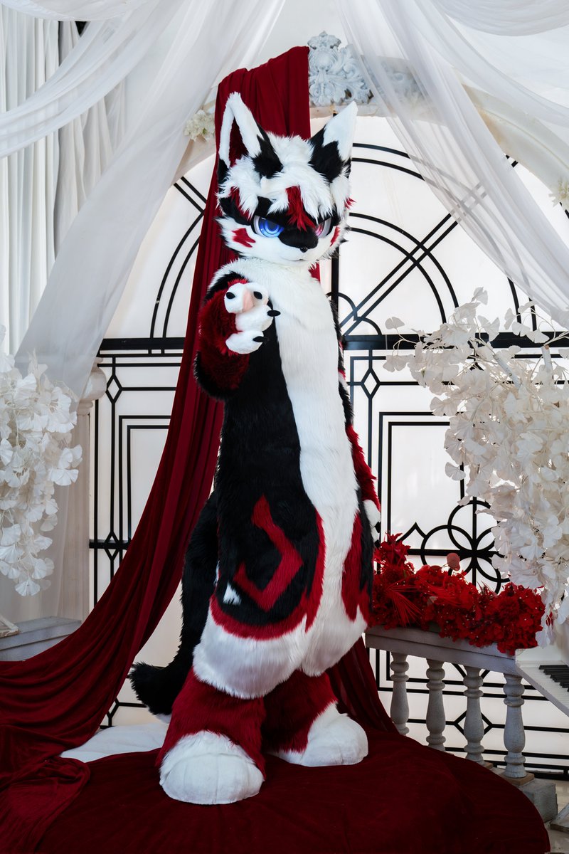 ALKAID_FUR's tweet photo. 【✨ALKAID·特景展示】pat.1
天真浪漫活泼可爱小狐狼🦊

委托人：焰芒
📷：朔光

#furry #fursuit https://t.co/LrEVdFLQUX