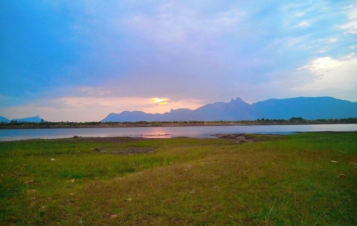 India Aesthetica tweet media