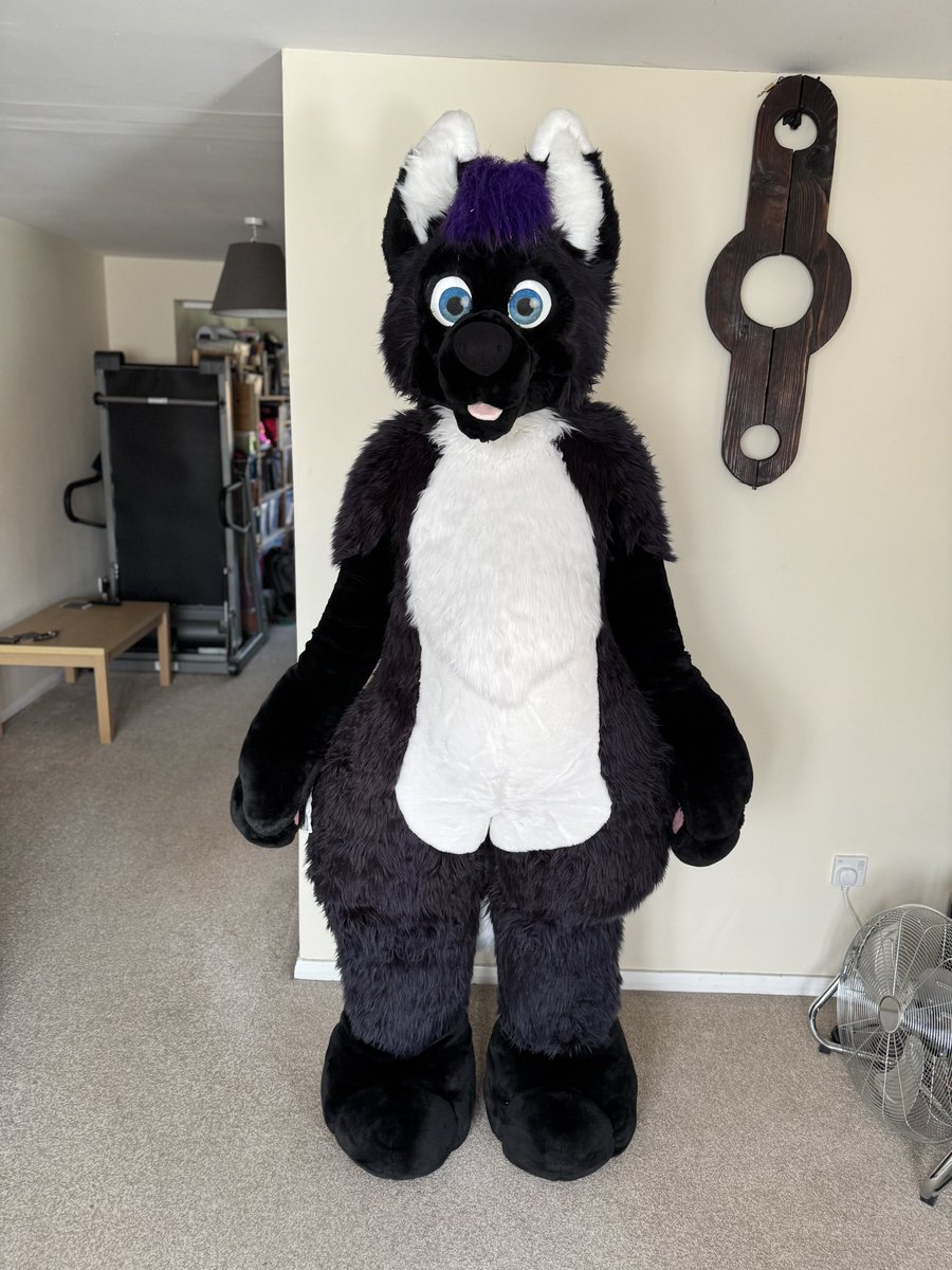 Skunkpet tweet media