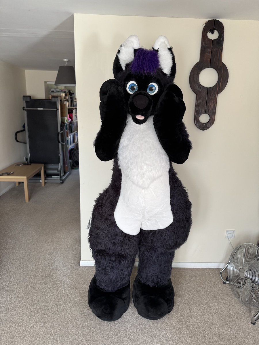 Skunkpet tweet media