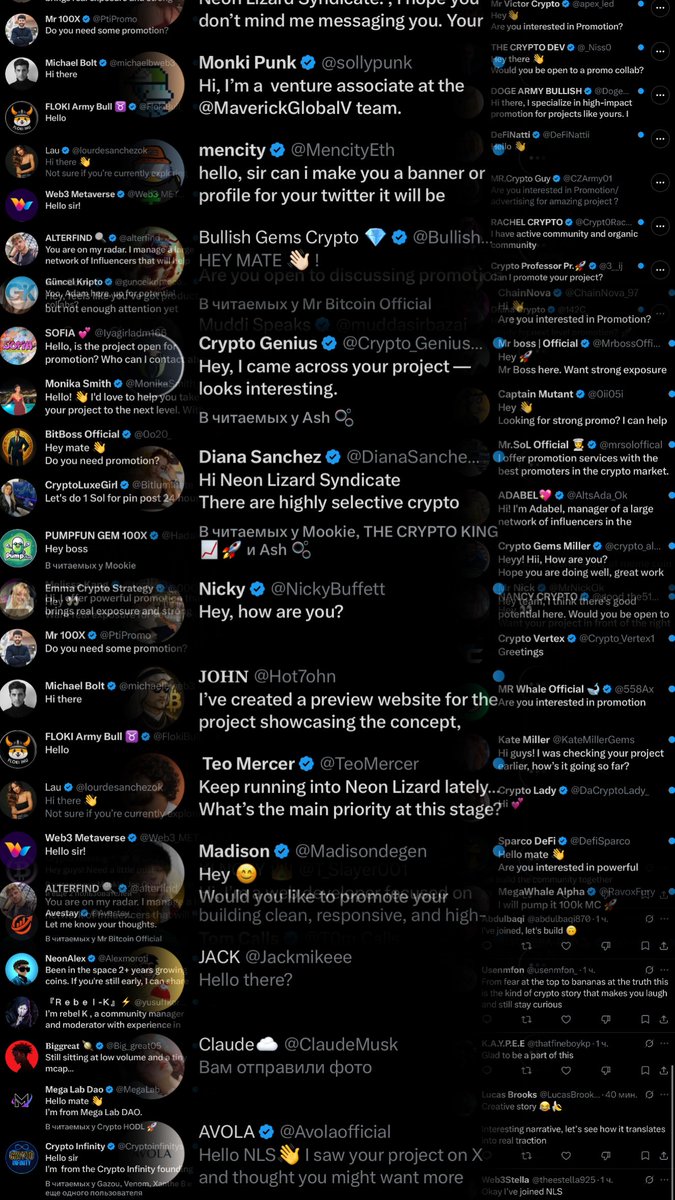 Neon Lizard Syndicate. NLS tweet media