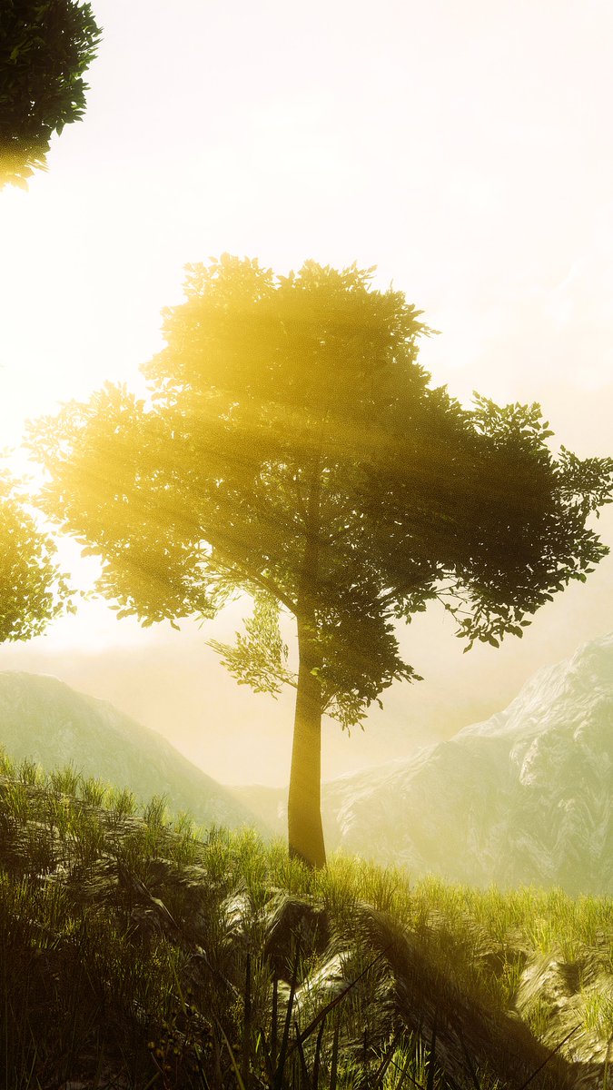 Dazzling Start

VRChat World : Morning Warmth
Author : Dօzer

#VRChat
#VRChat_world紹介
#VRChatPhotography