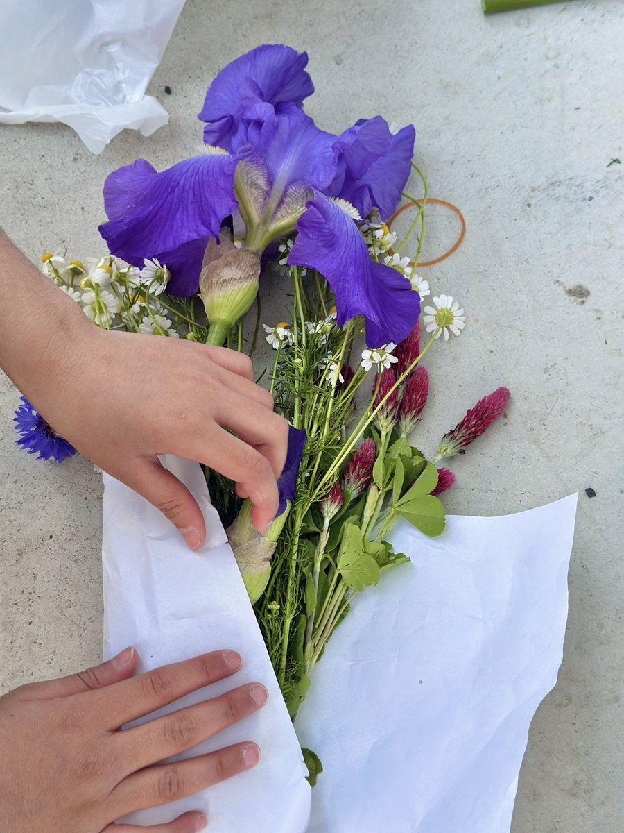 komeko__note's tweet photo. 子どもたちが近所の方のお庭で
お花を摘ませてもらったみたいで🌼
帰ってくるなりハサミでチョキチョキ✂️

「ばあばにプレゼントするー！」って、
張り切って花束を作っていました💐
やさしい気持ちにほっこり🥹

#岡山 #田舎の風景 #花束 https://t.co/T6bszOGuv6