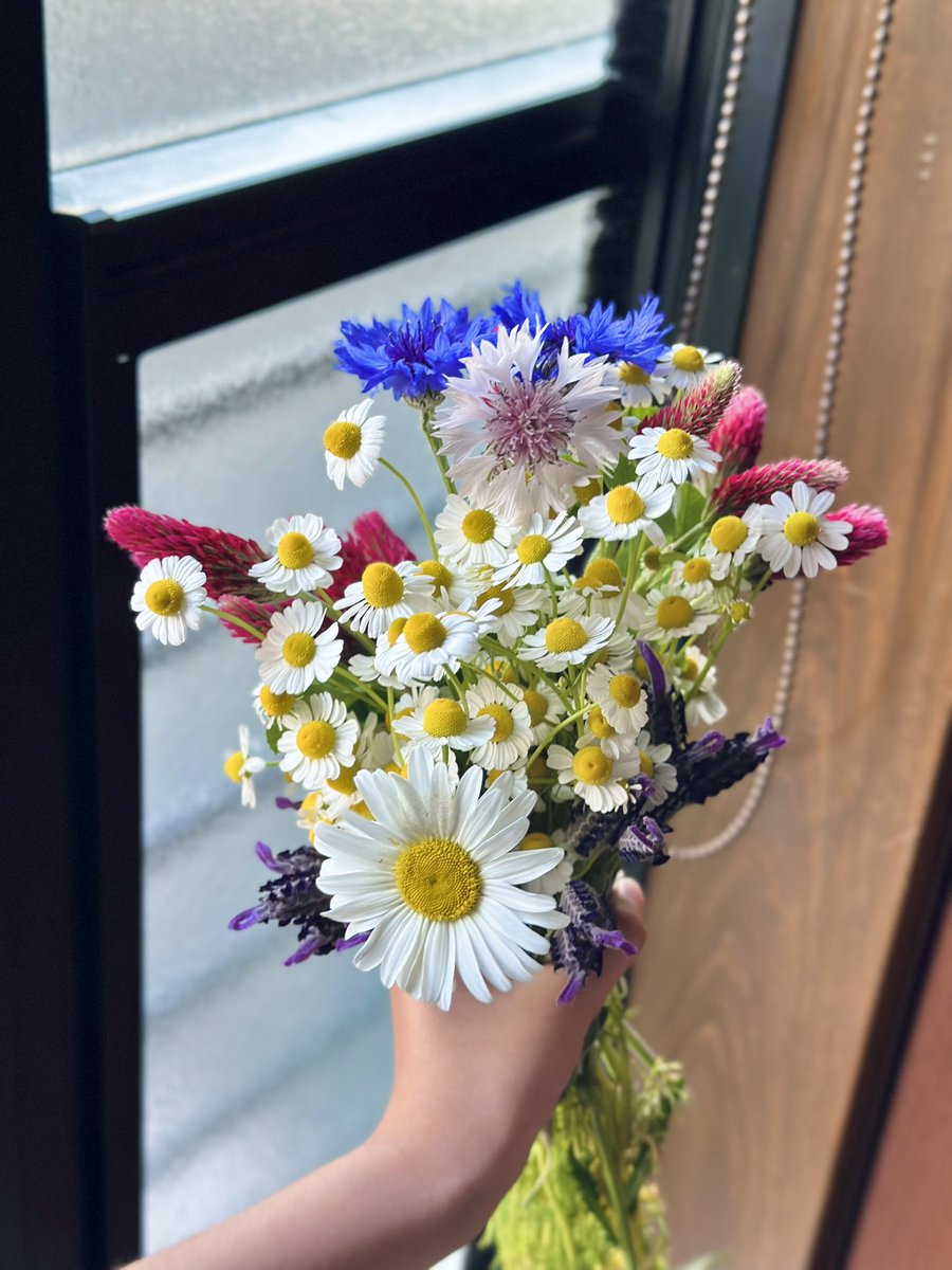 komeko__note's tweet photo. 子どもたちが近所の方のお庭で
お花を摘ませてもらったみたいで🌼
帰ってくるなりハサミでチョキチョキ✂️

「ばあばにプレゼントするー！」って、
張り切って花束を作っていました💐
やさしい気持ちにほっこり🥹

#岡山 #田舎の風景 #花束 https://t.co/T6bszOGuv6