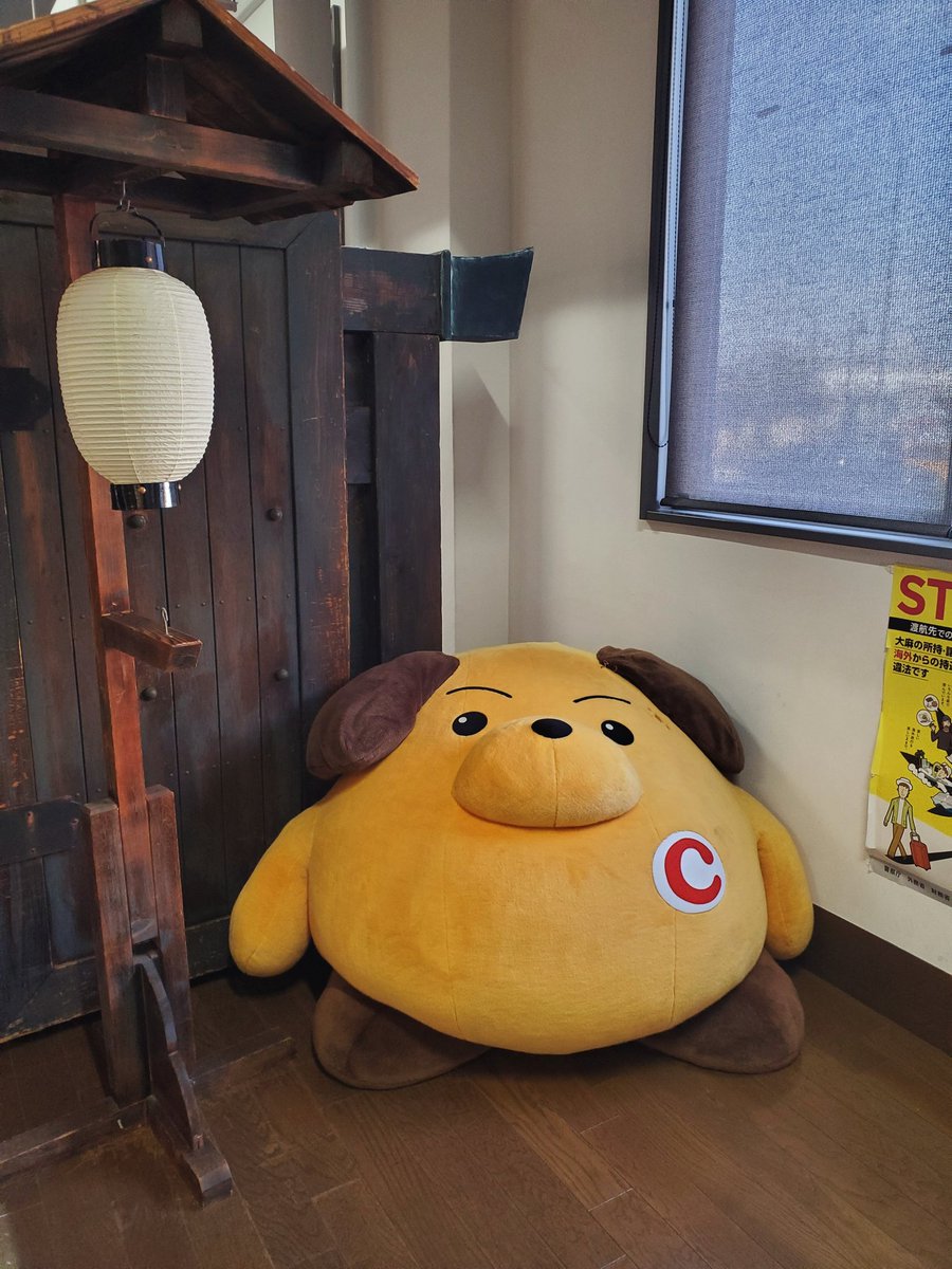 あんまりひどい tweet media