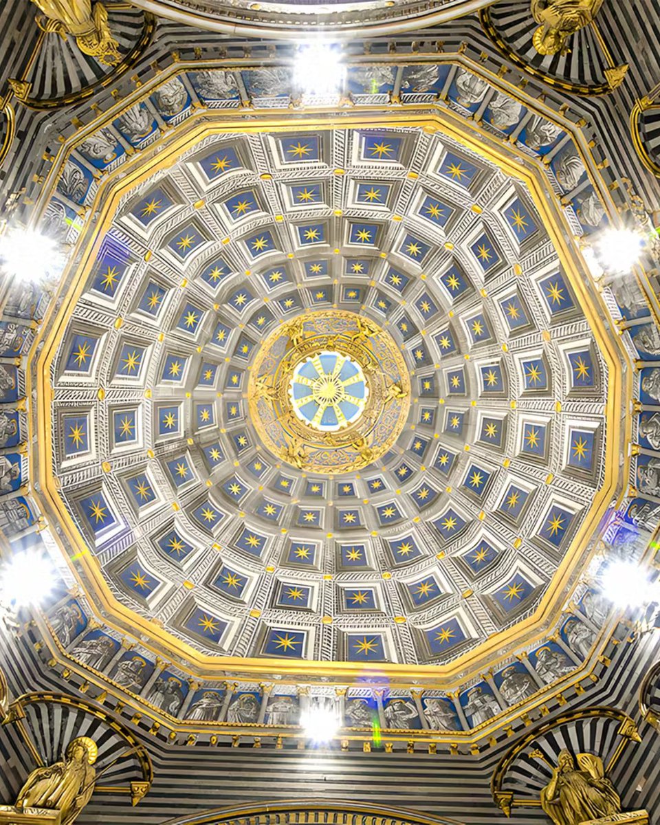 tickadoo ® tweet media