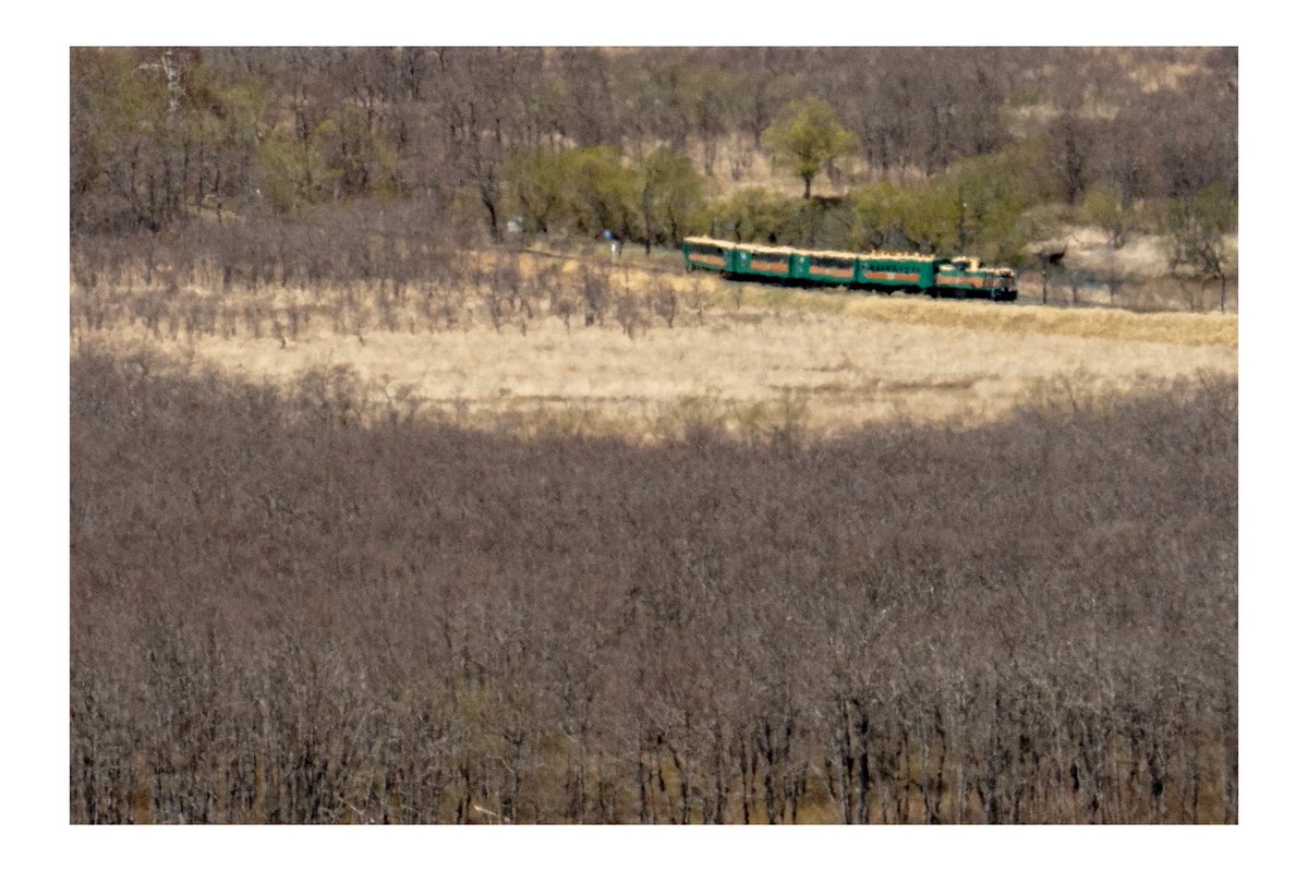 landscapes_23's tweet image. 久しぶりの晴れ鉄でした。

#写真で感じる北海道 #sonyalpha