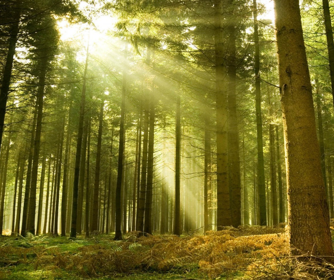 ShannonHypnotic's tweet image. Beliefs like "I am unworthy" or "Love is suffering" can become the operating system of your life. It’s time for a system update. Rediscover your best self through hypnotherapy. shannon-doyle.com/toxic-relation… 
#hypnosis #hypnotherapy #toxicrelationships #toxicpeople #toxicfamily
#toxicre